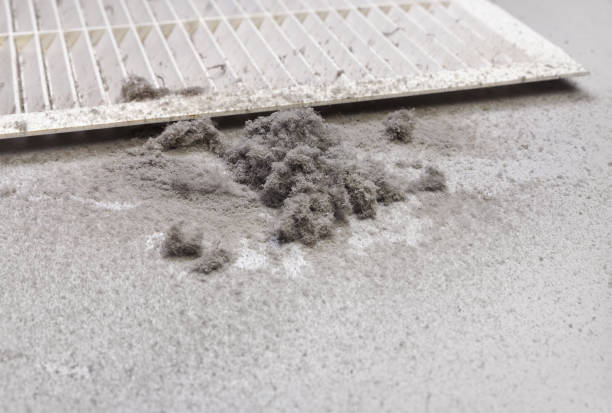 Best Affordable HVAC Duct Cleaning  in Sibley, LA
