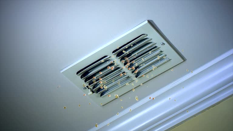 Best General Air Duct Cleaning  in Sibley, LA