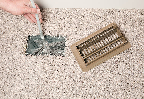Best Air Duct Mold Removal  in Sibley, LA